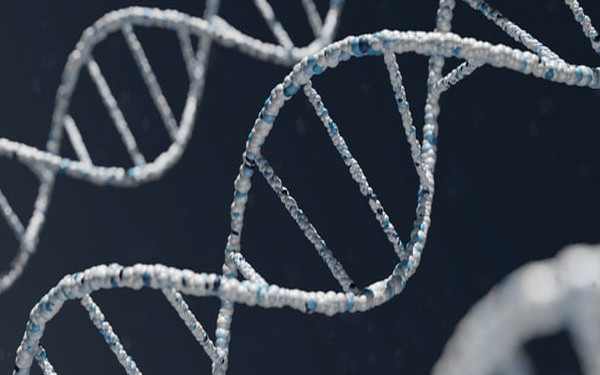 Picture of DNA for a project